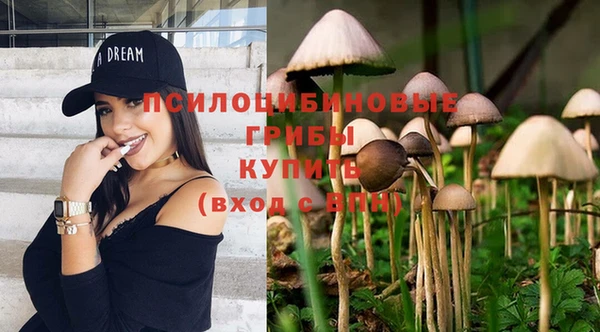 ALPHA PVP Абдулино