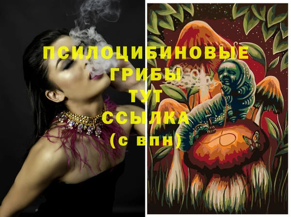 скорость Алзамай