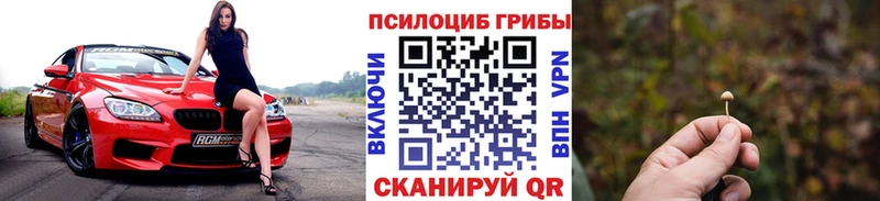 Псилоцибиновые грибы GOLDEN TEACHER Зея